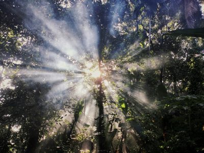 omkar-jadhav-s5xNLPMxHZU-unsplash